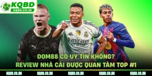 DOM88