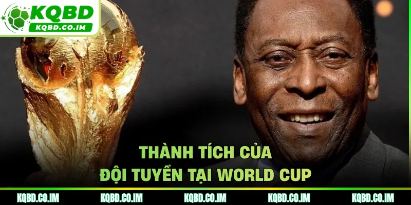 Thành tích của đội tuyển tại World Cup