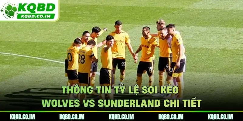 Thông tin tỷ lệ soi kèo Wolves vs Sunderland chi tiết