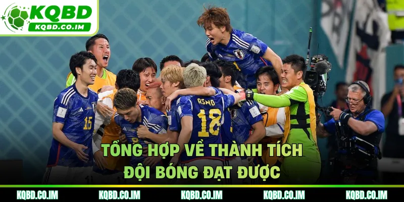 Tổng hợp về thành tích đội bóng đạt được