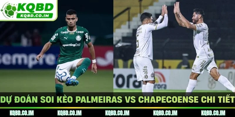Dự đoán soi kèo Palmeiras vs Chapecoense chi tiết