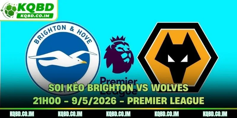 Soi kèo Brighton vs Wolves
