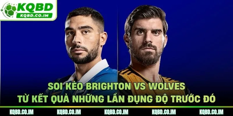 Soi kèo Brighton vs Wolves từ kết quả những cuộc chạm mặt